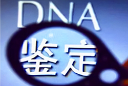 江苏体检中心血缘检测详细流程及材料，江苏专业的亲子鉴定医院