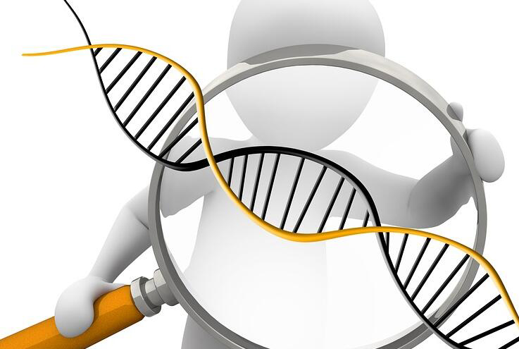 江苏怀孕期间如何鉴定是谁的孩子,江苏产前亲子鉴定要多少钱的费用 江苏怀孕期间如何鉴定是谁的孩子,江苏产前亲子鉴定要多少钱的费用