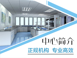 中心简介